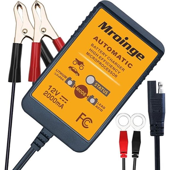 12V 2A Smart Battery Charger for Lithium and Lead-Acid Batteries