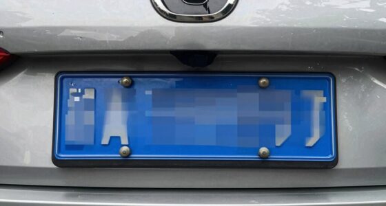 blocky compression obscures plates