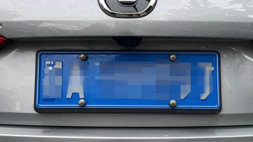 blocky compression obscures plates