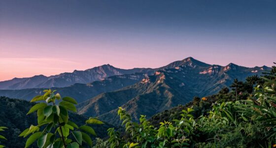 clarifying wdr hdr technology