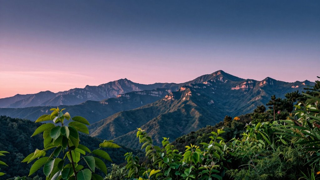 clarifying wdr hdr technology