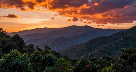 misleading hdr marketing tactics