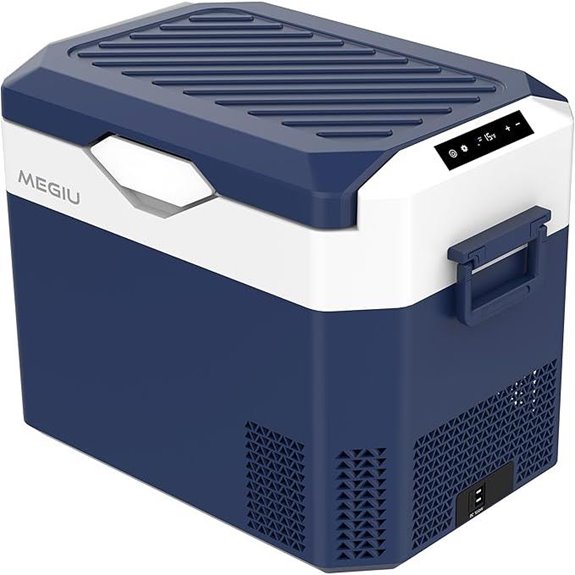 Portable 12V/24V Car Refrigerator and Cooler