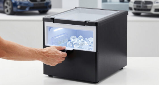 13 Best Portable Fridge for Road Trips in 2026