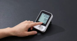 6 Best Temperature Monitor for Parked Cars in 2026