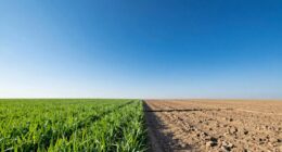 channel coverage comparison insights