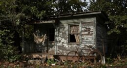 disguise cabin for security