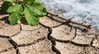 fluctuating temperatures cause damage