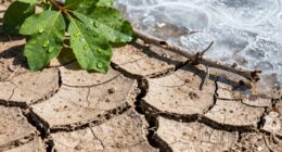 fluctuating temperatures cause damage