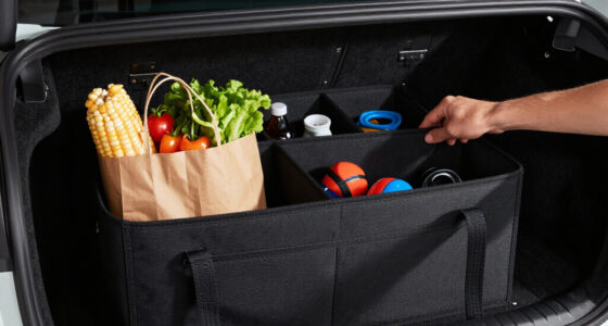 14 Best Car Trunk Organizers in 2026