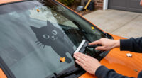 14 Best Halloween Car Decals for Seasonal Style in 2027