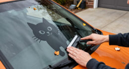 14 Best Halloween Car Decals for Seasonal Style in 2027