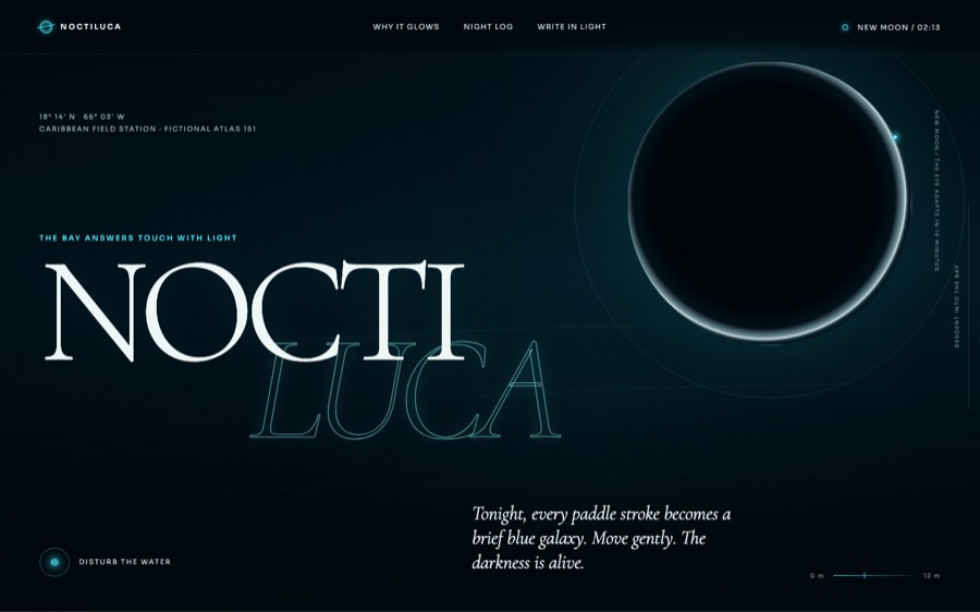 Noctiluca — The bay that answers in light